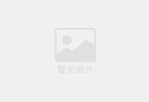 莲都防水补漏公司的电话号码是多少？